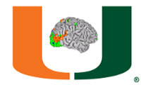 UM Logo with Brain